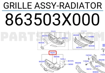 GRILLE ASSY-RADIATOR-شبك راديتر