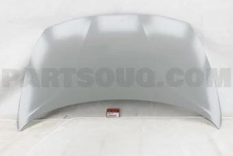 PANEL ASSY-HOOD