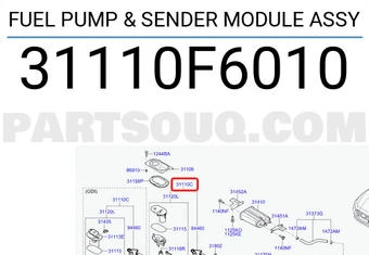 FUEL PUMP & SENDER MODULE ASSY