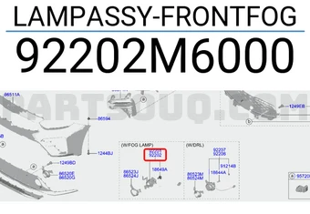 LAMP ASSY-FRONT FOG,RH
